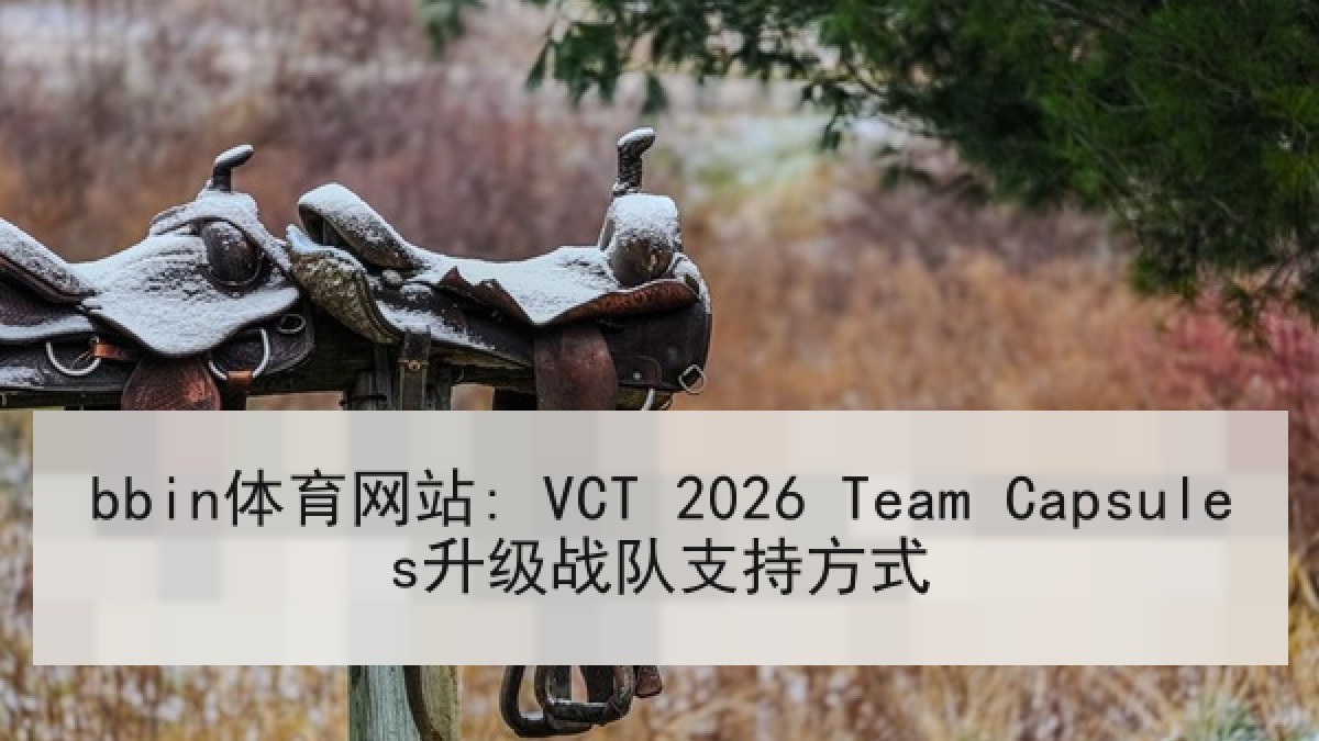 bbin体育网站: VCT 2026 Team Capsules升级战队支持方式