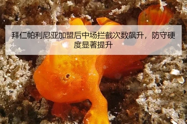 拜仁帕利尼亚加盟后中场拦截次数飙升，防守硬度显著提升