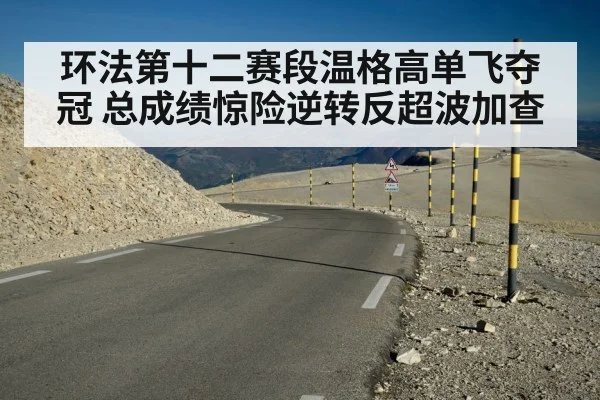 环法第十二赛段温格高单飞夺冠 总成绩惊险逆转反超波加查